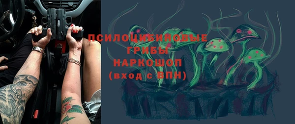 СК Краснослободск
