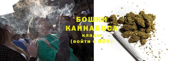 СК Краснослободск