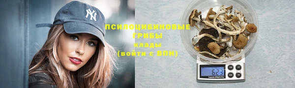 СК Краснослободск