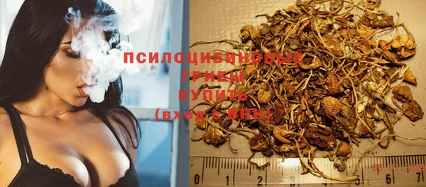 СК Краснослободск